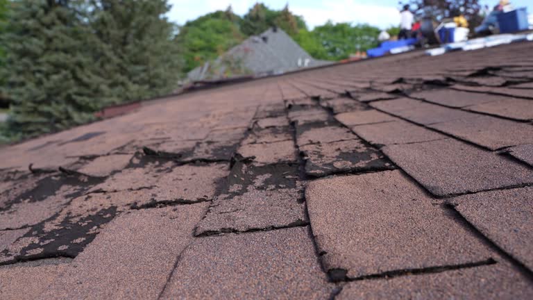 Best Rubber Roofing (EPDM, TPO)  in Westwood, CA
