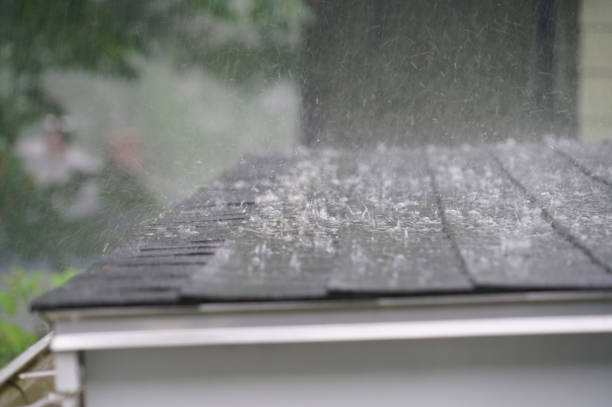 Best Sheet Metal Roofing  in Westwood, CA