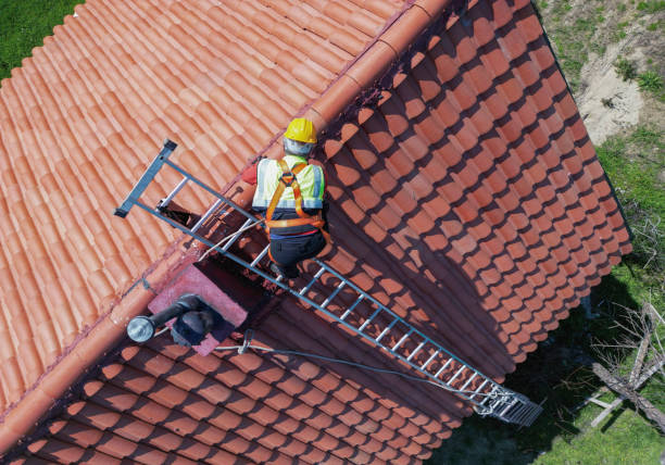Best Roof Coating and Sealing  in Westwood, CA